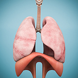 慢性阻塞性肺病