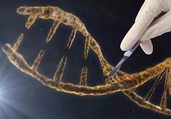 全球首个“基因剪刀”用于人体，治疗肺癌